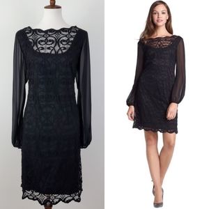 Adrianna Papell Lace Chiffon Scalloped Shift Dress
